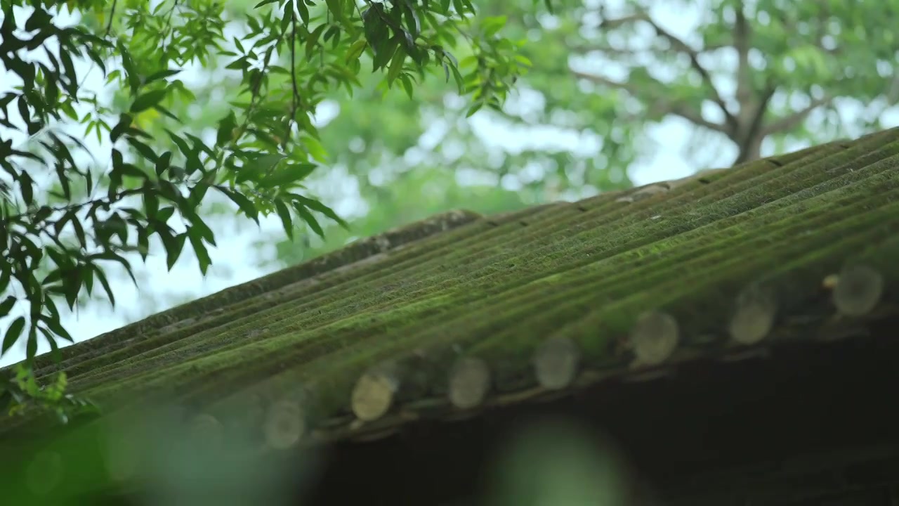 广东四大名园清晖园屋檐窗花门厅中近景特写视频素材画面3