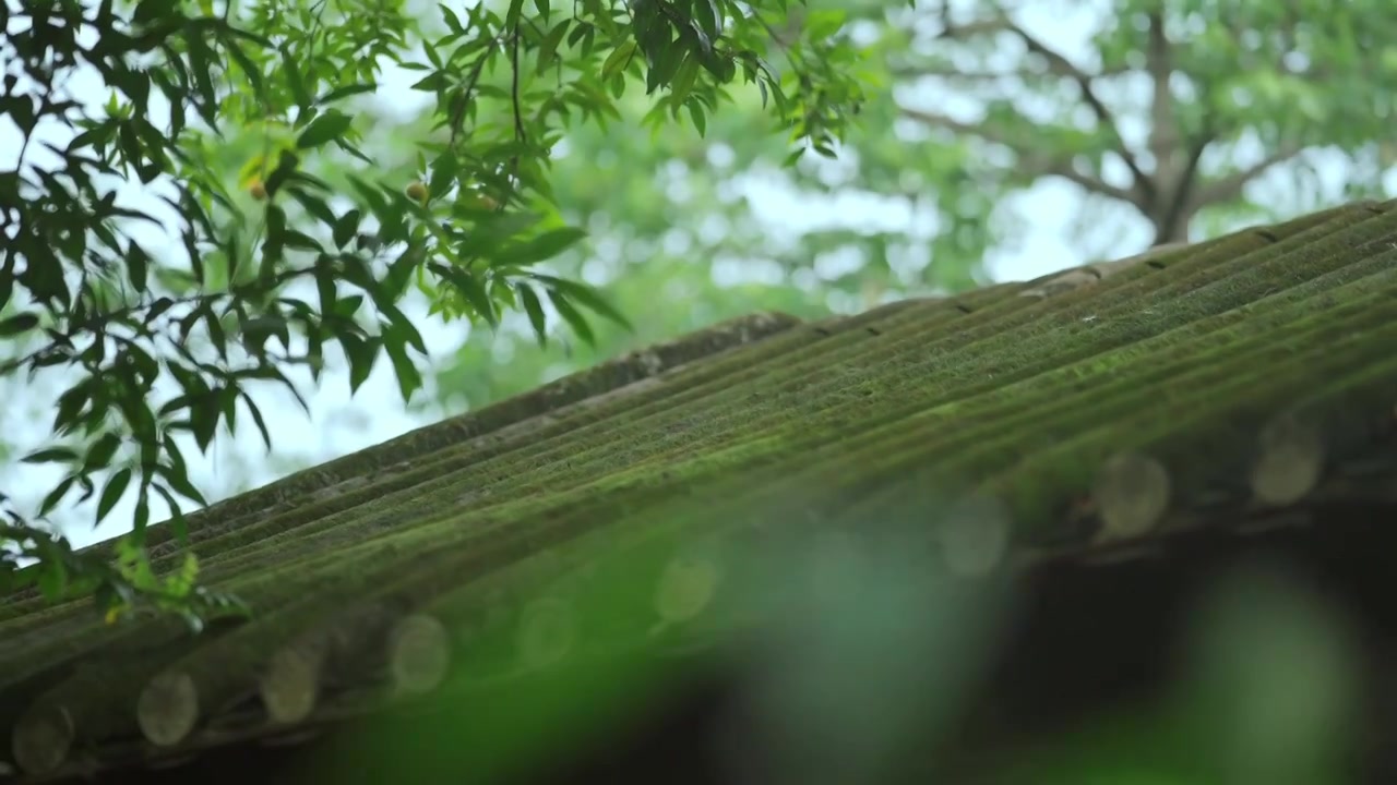 广东四大名园清晖园屋檐窗花门厅中近景特写视频素材画面4