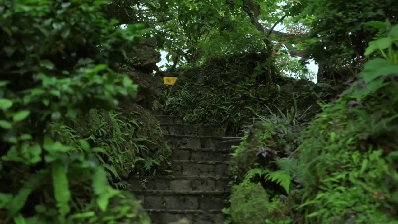 广东四大名园清晖园屋檐窗花门厅中近景特写视频素材画面1