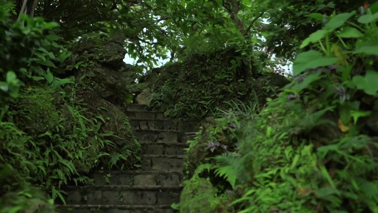 广东四大名园清晖园屋檐窗花门厅中近景特写视频素材画面3
