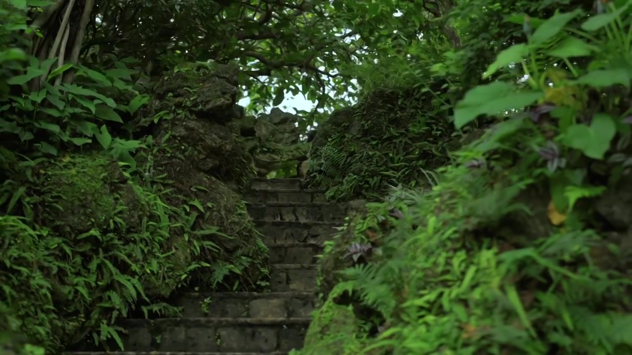 广东四大名园清晖园屋檐窗花门厅中近景特写视频素材画面4
