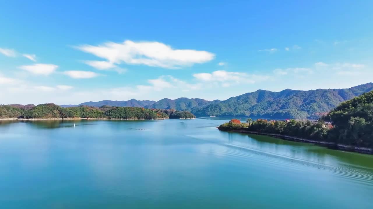 皖南青龙湾风景区 落羽红杉林 皖南川藏线视频素材画面1