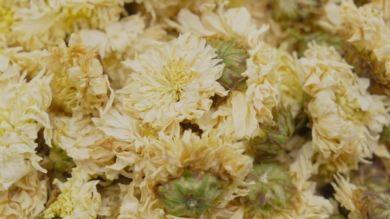 中药材菊花的特写视频素材画面1