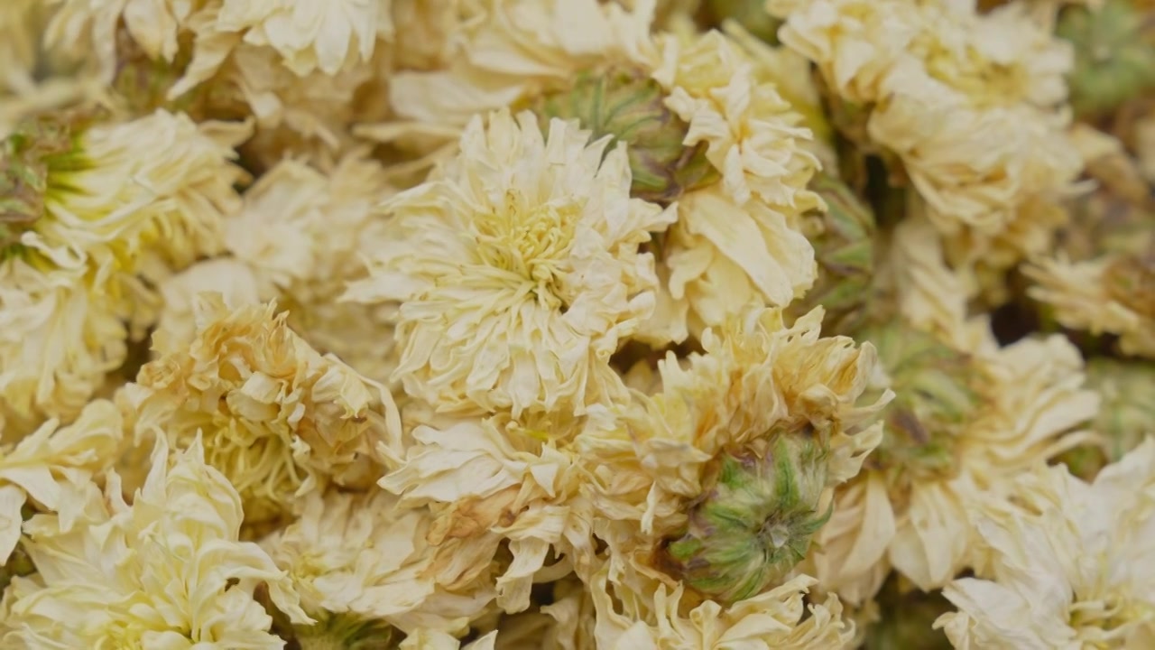 中药材菊花的特写视频素材画面3