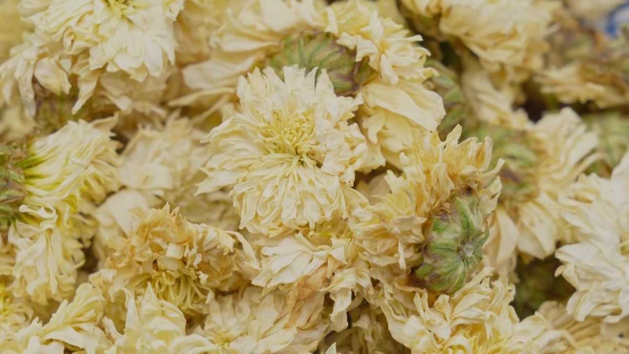 中药材菊花的特写视频素材画面4