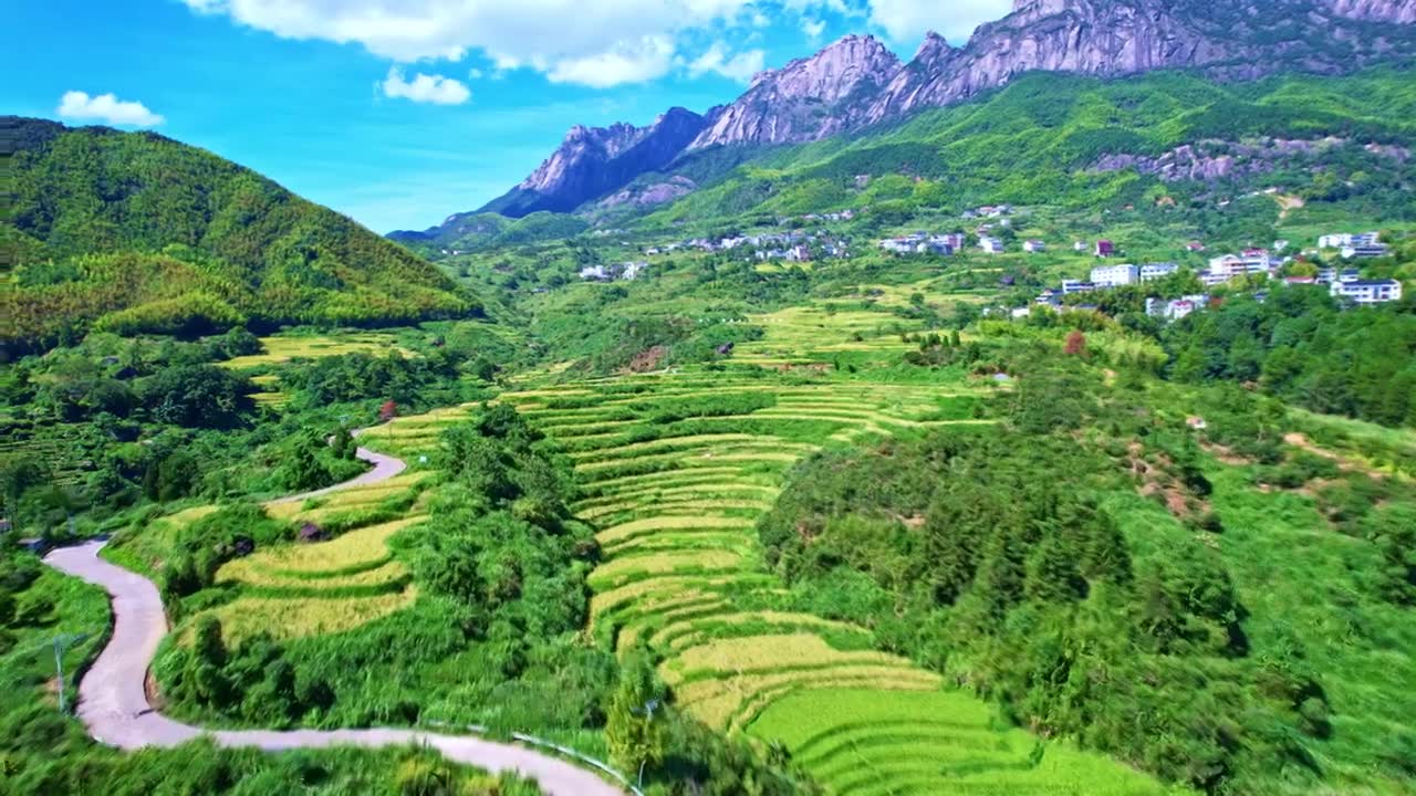 4K灵山脚下的绝美梯田丰收风光视频素材画面1