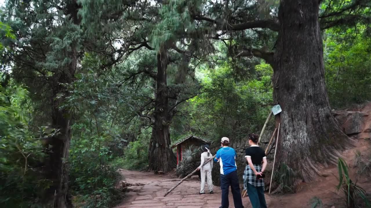广元翠云廊古蜀道金牛道黑神话悟空取景地拦马墙至清凉桥段视频素材画面1