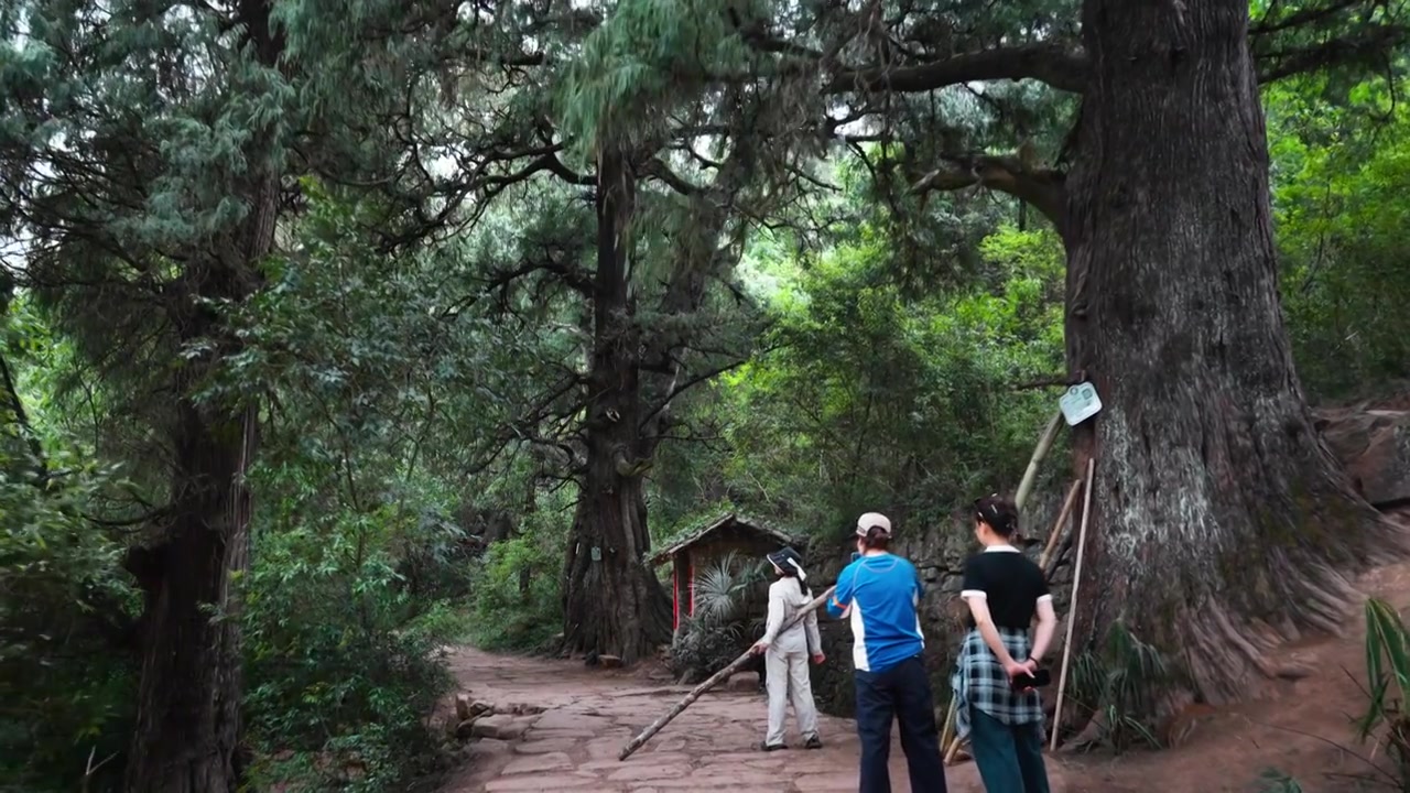 广元翠云廊古蜀道金牛道黑神话悟空取景地拦马墙至清凉桥段视频素材画面3