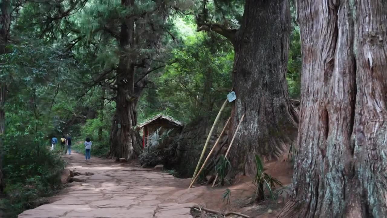 广元翠云廊古蜀道金牛道黑神话悟空取景地拦马墙至清凉桥段视频素材画面1