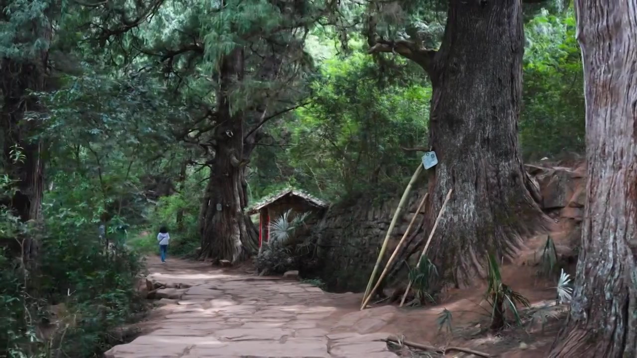 广元翠云廊古蜀道金牛道黑神话悟空取景地拦马墙至清凉桥段视频素材画面3