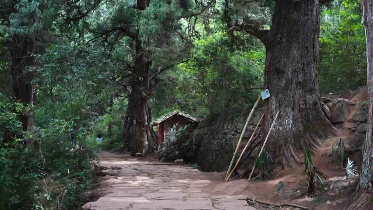 广元翠云廊古蜀道金牛道黑神话悟空取景地拦马墙至清凉桥段视频素材画面4