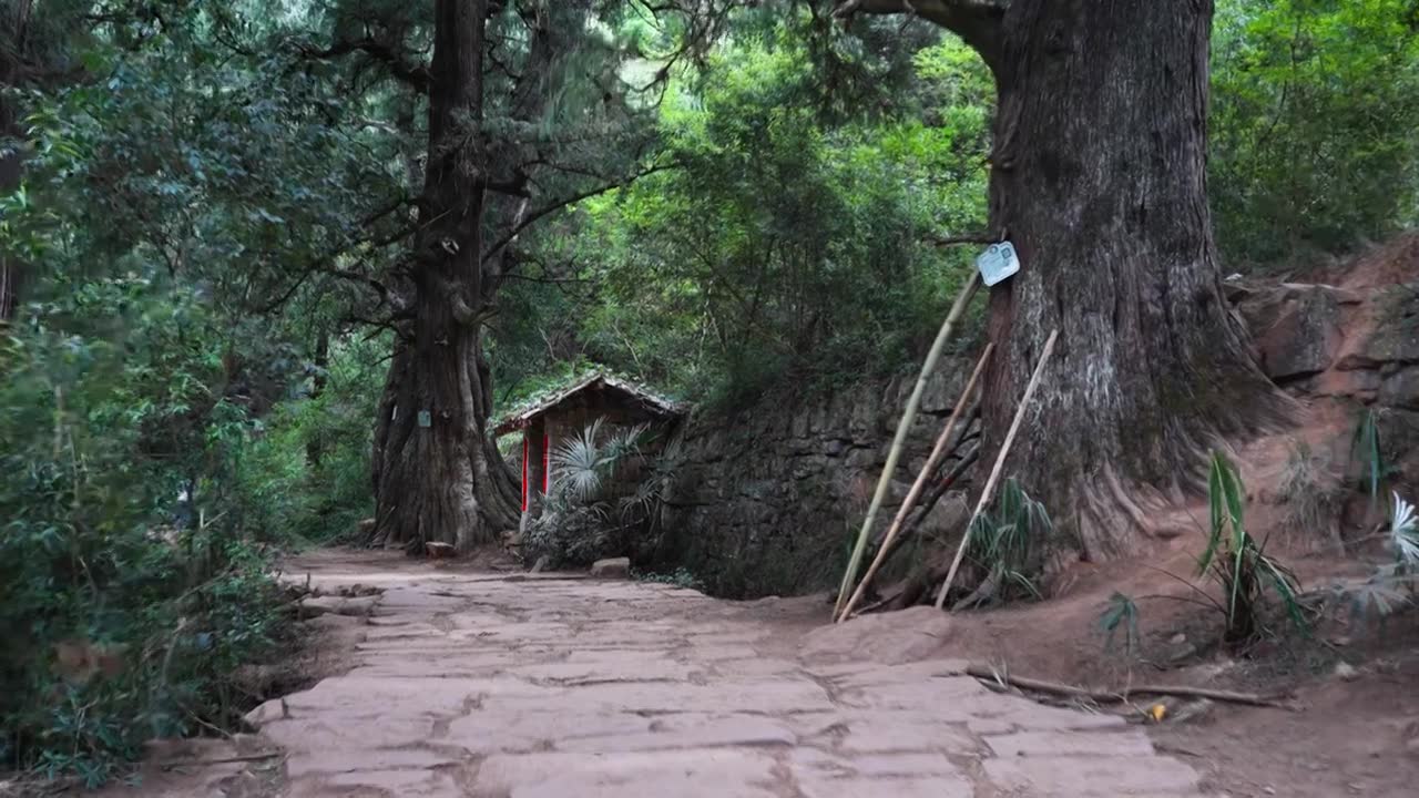 广元翠云廊古蜀道金牛道黑神话悟空取景地拦马墙至清凉桥段视频素材画面1