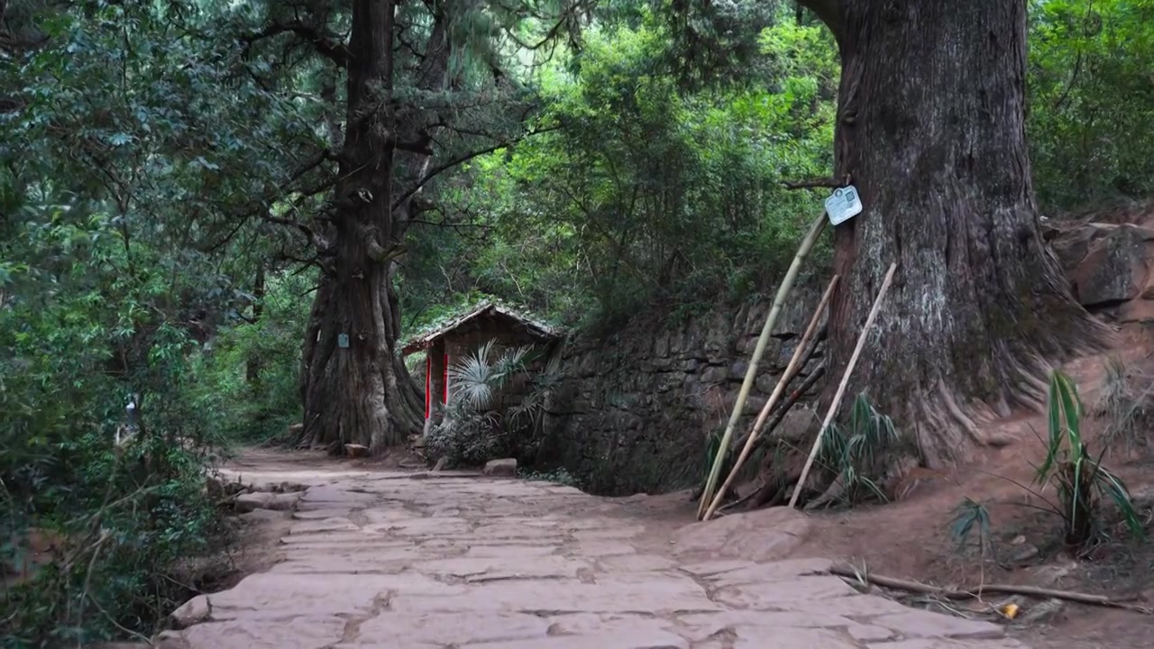 广元翠云廊古蜀道金牛道黑神话悟空取景地拦马墙至清凉桥段视频素材画面3