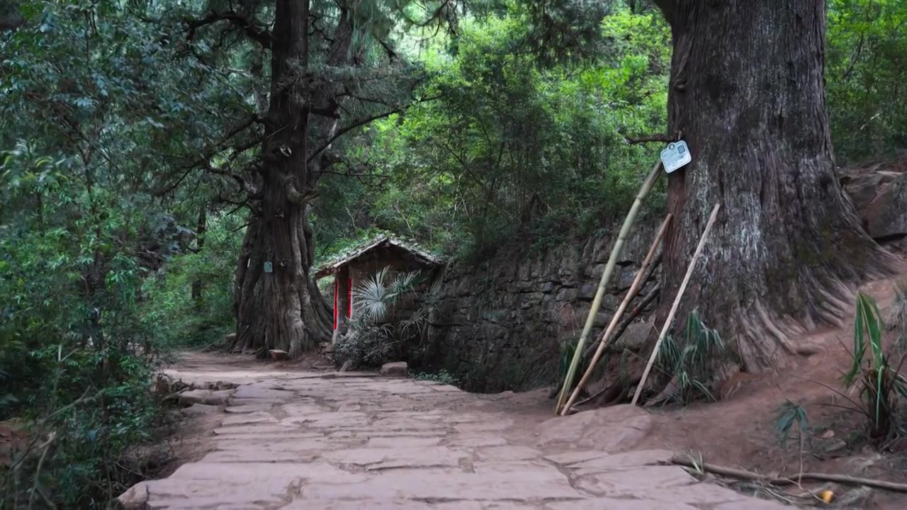 广元翠云廊古蜀道金牛道黑神话悟空取景地拦马墙至清凉桥段视频素材画面4