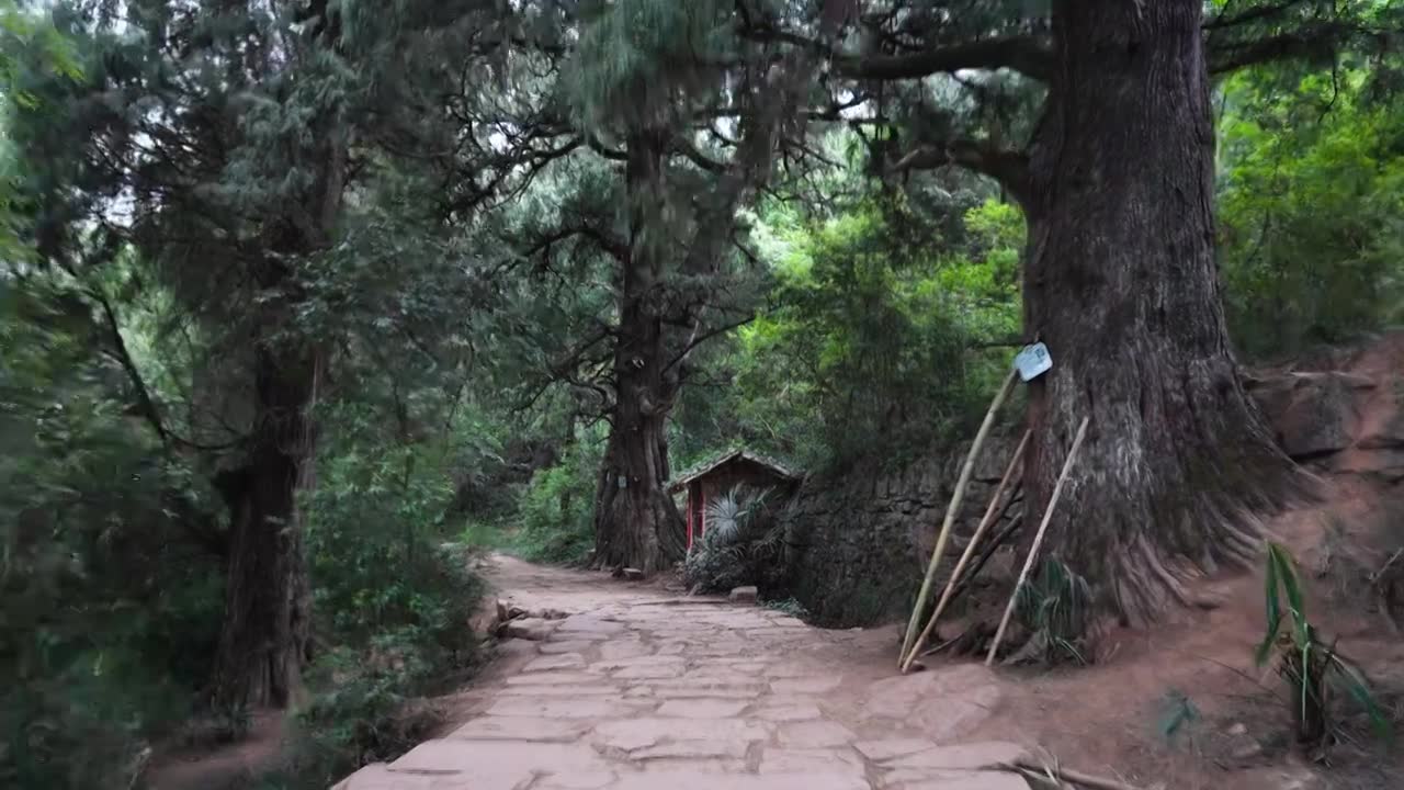 广元翠云廊古蜀道金牛道黑神话悟空取景地拦马墙至清凉桥段视频素材画面1