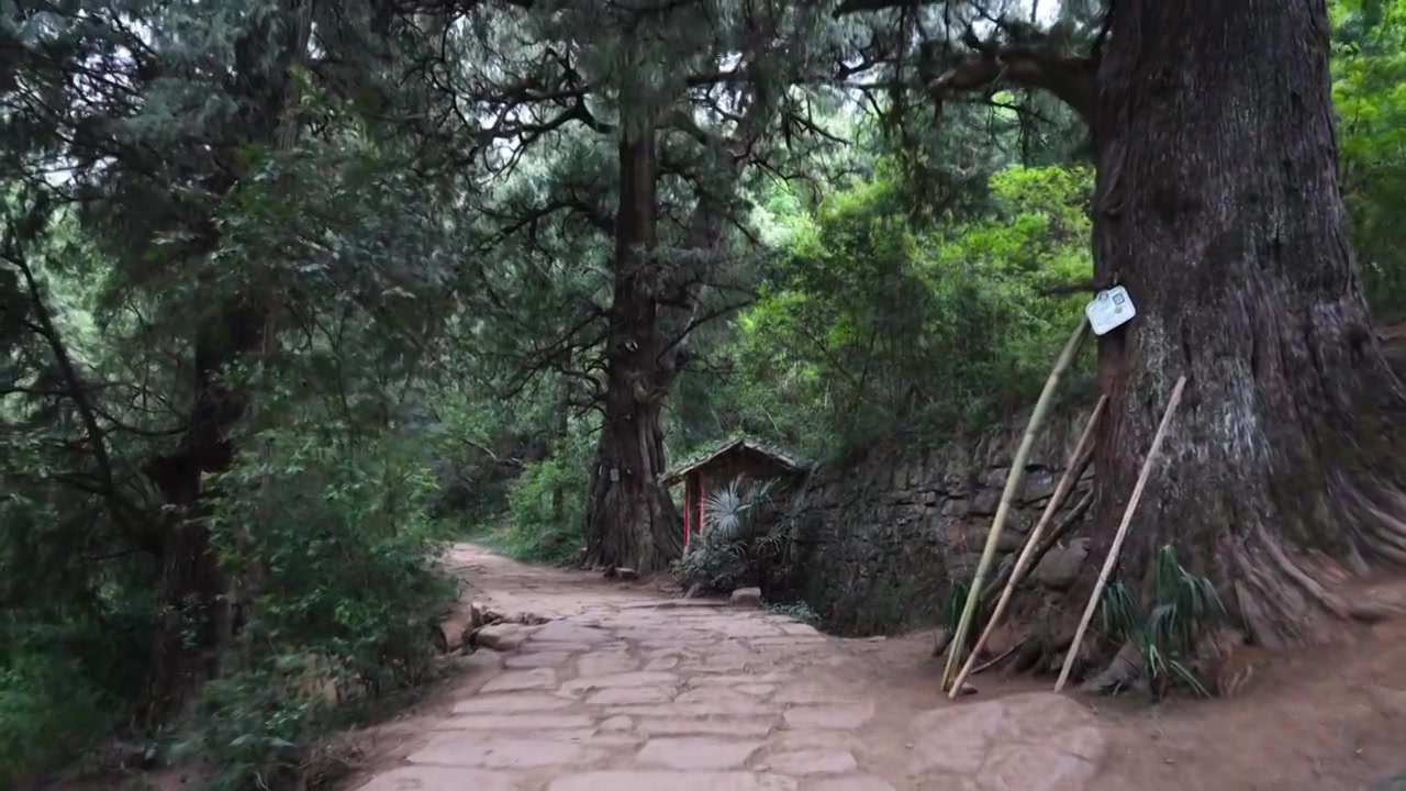 广元翠云廊古蜀道金牛道黑神话悟空取景地拦马墙至清凉桥段视频素材画面3