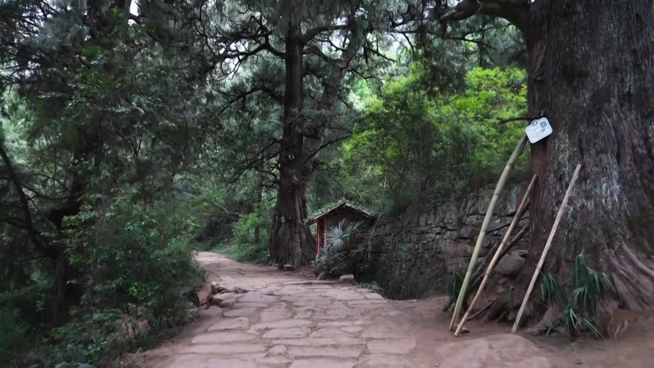 广元翠云廊古蜀道金牛道黑神话悟空取景地拦马墙至清凉桥段视频素材画面4