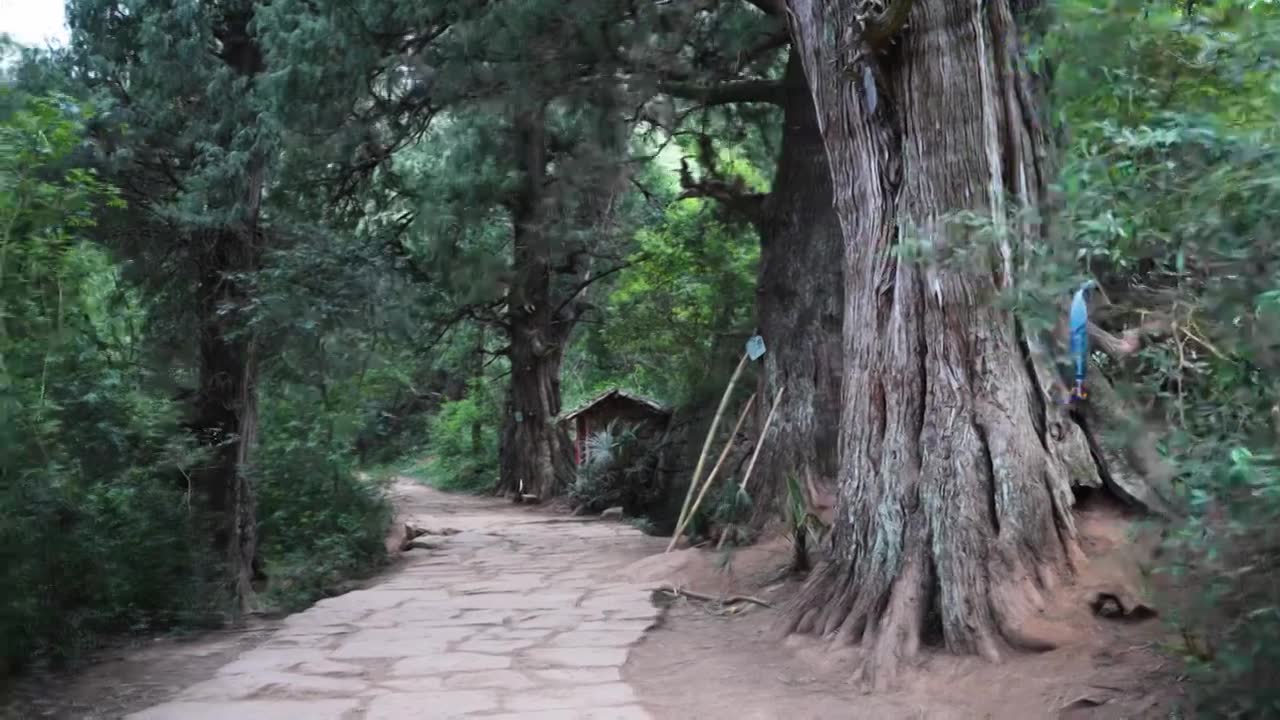 广元翠云廊古蜀道金牛道黑神话悟空取景地拦马墙至清凉桥段视频素材画面1