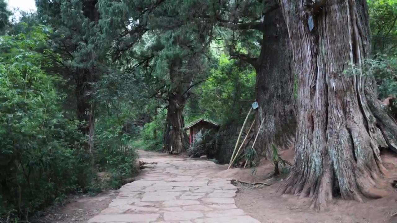 广元翠云廊古蜀道金牛道黑神话悟空取景地拦马墙至清凉桥段视频素材画面3