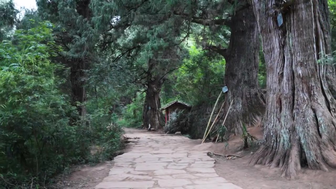广元翠云廊古蜀道金牛道黑神话悟空取景地拦马墙至清凉桥段视频素材画面4