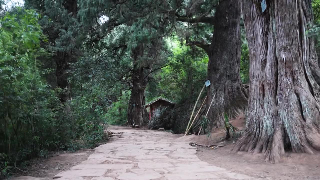 广元翠云廊古蜀道金牛道黑神话悟空取景地拦马墙至清凉桥段视频素材画面1