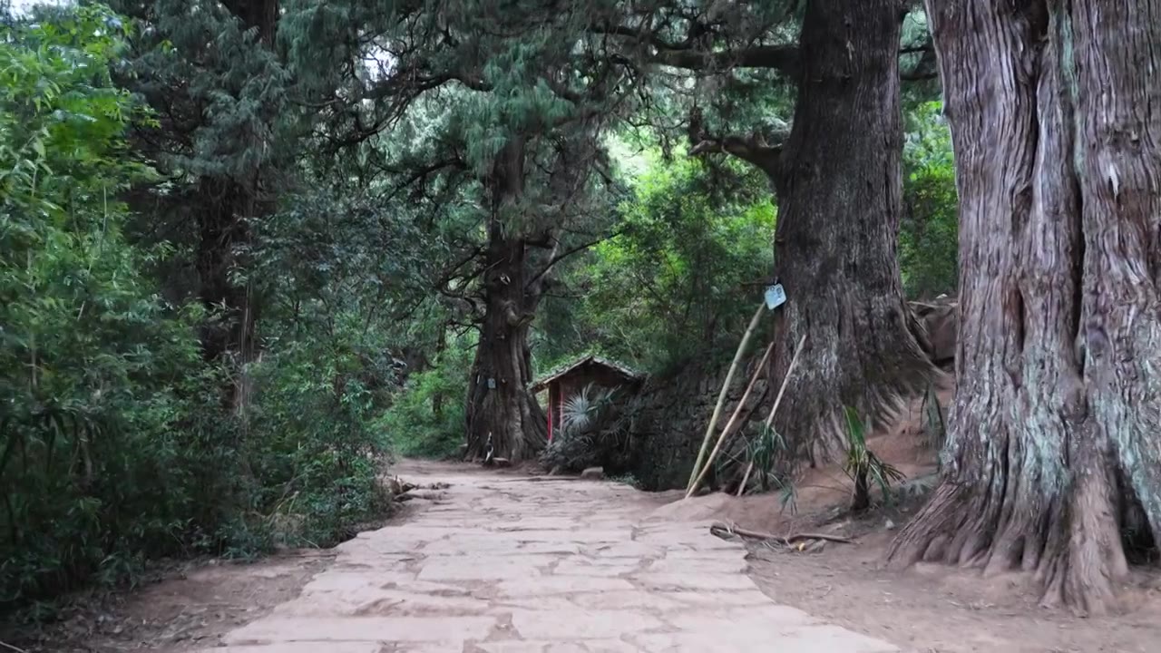 广元翠云廊古蜀道金牛道黑神话悟空取景地拦马墙至清凉桥段视频素材画面3