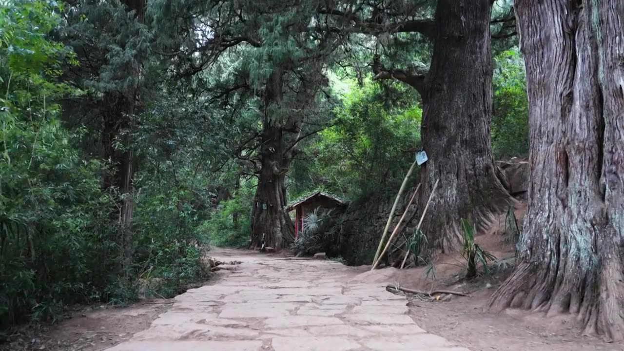 广元翠云廊古蜀道金牛道黑神话悟空取景地拦马墙至清凉桥段视频素材画面4