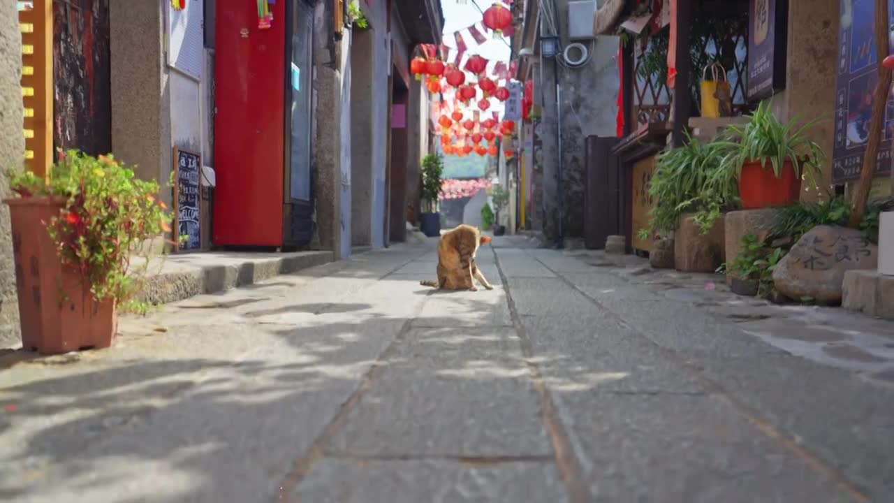深圳大鹏古城老巷子视频素材画面1
