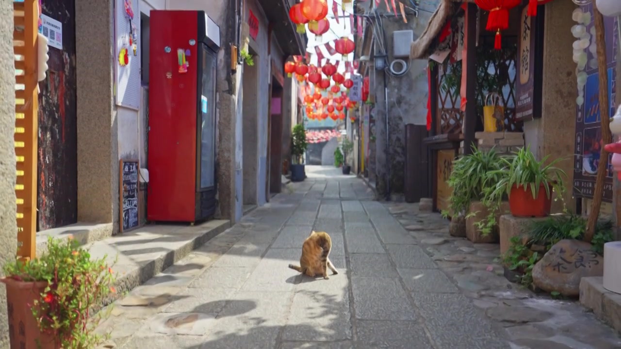 深圳大鹏古城老巷子视频素材画面4
