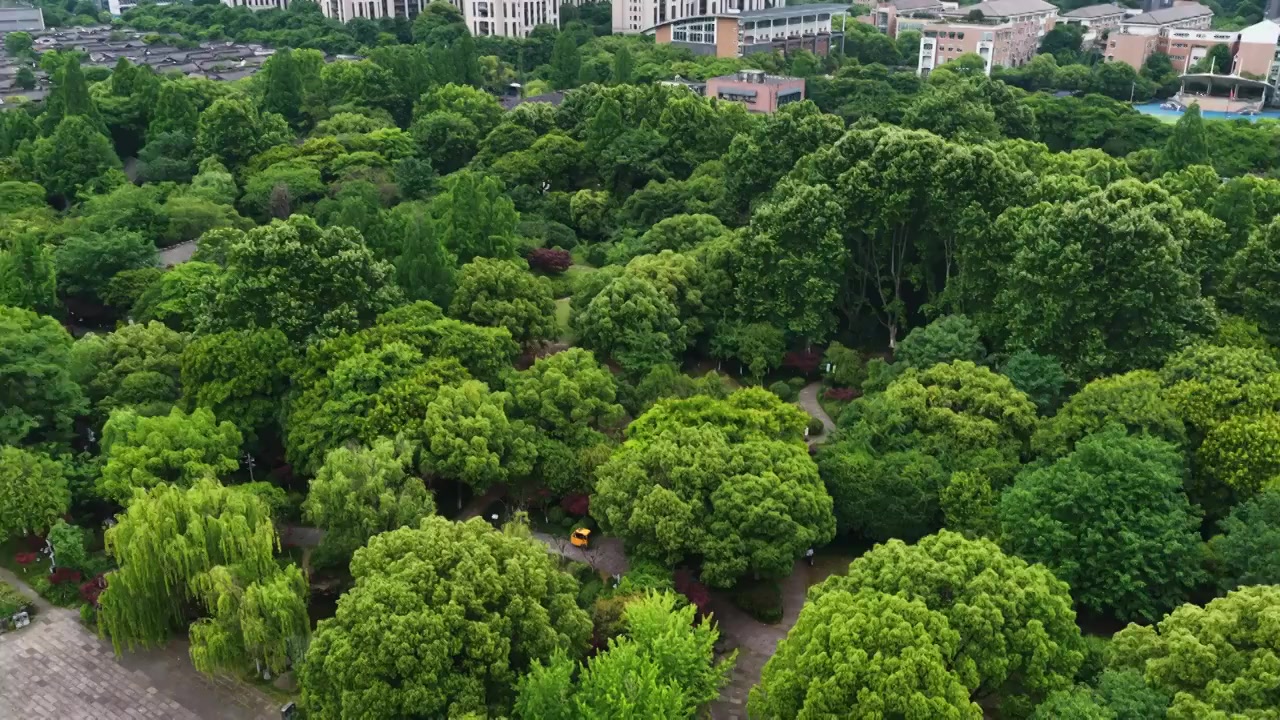 航拍浙江杭州京杭大运河拱宸桥及桥西历史文化街区视频素材画面3