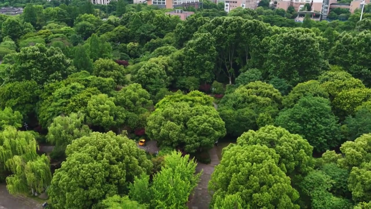 航拍浙江杭州京杭大运河拱宸桥及桥西历史文化街区视频素材画面4
