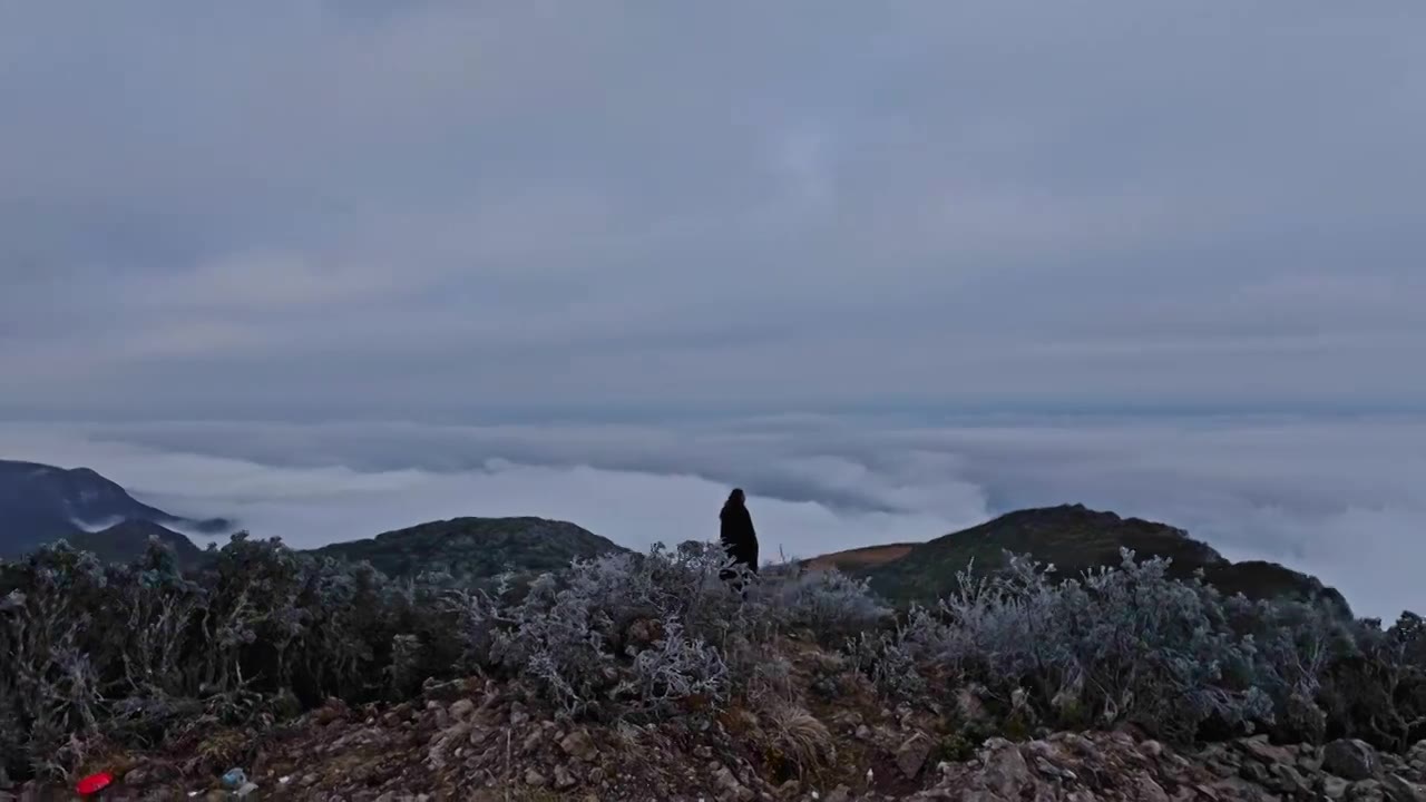 山顶云海中的孤独背影视频素材画面1