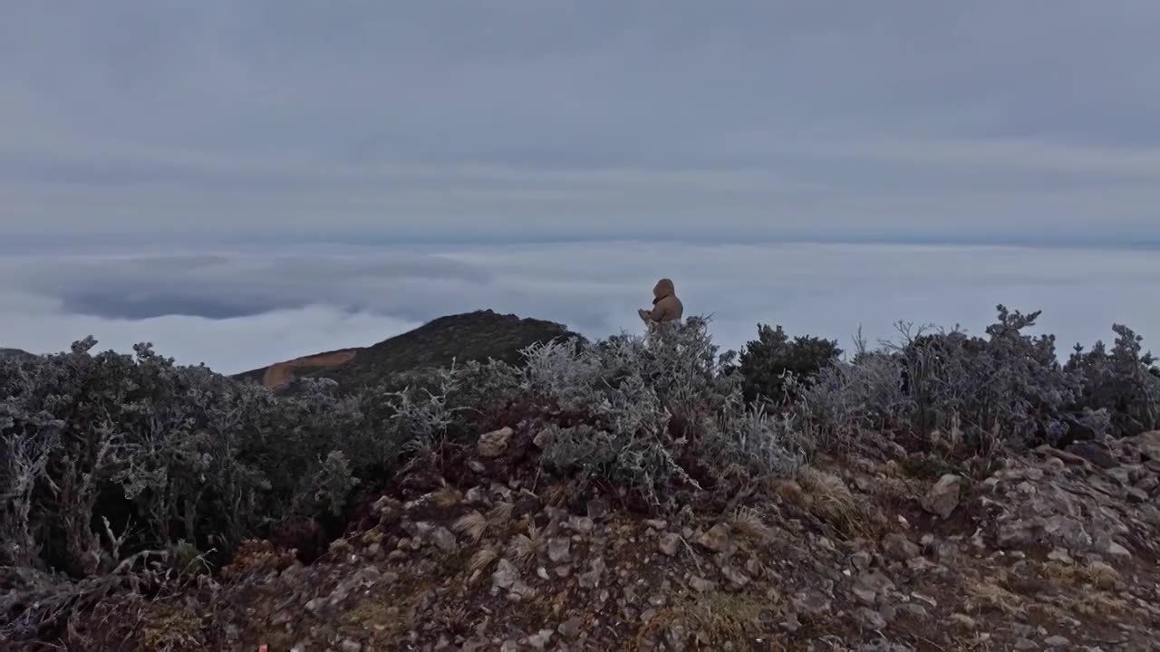 冬季雪霜山顶观云海的人视频素材画面1