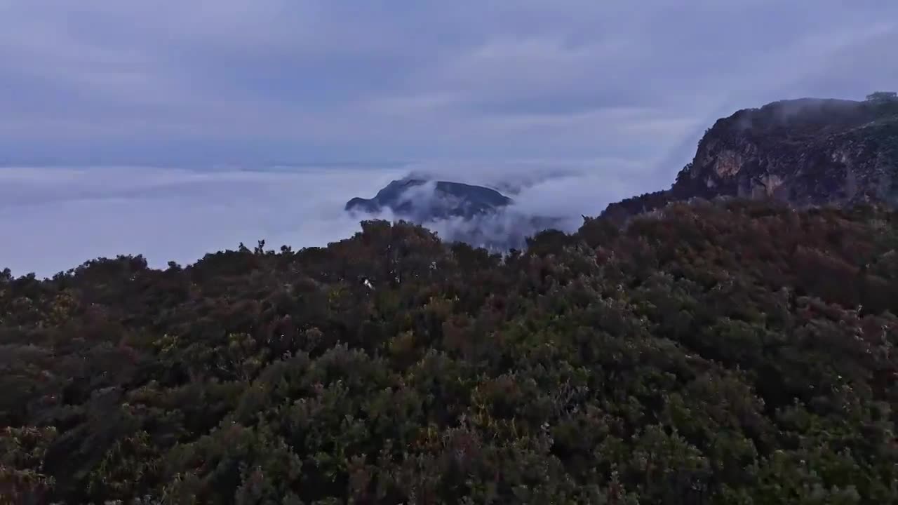 山间云雾缭绕公路景观视频素材画面1