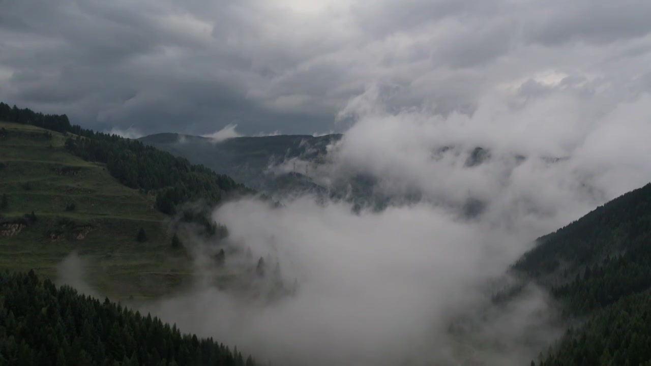 高山森林草场视频素材画面1