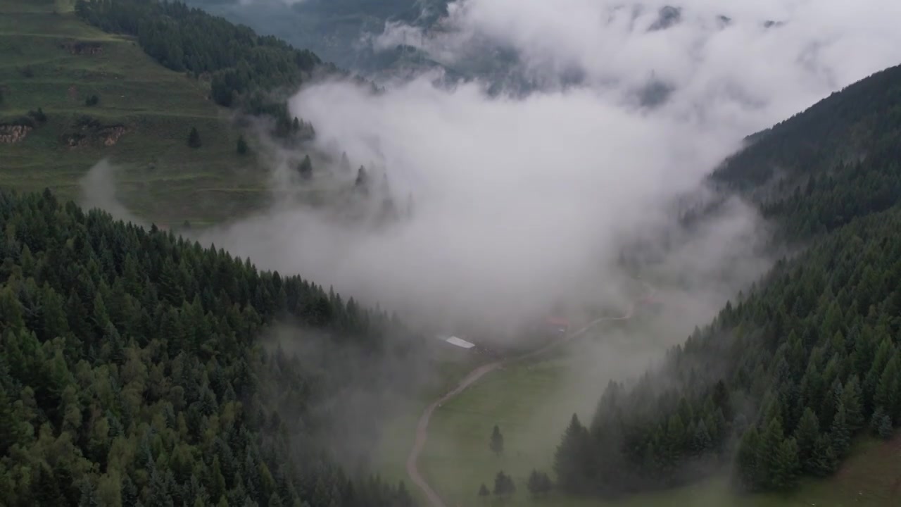 高山森林草场视频素材画面3
