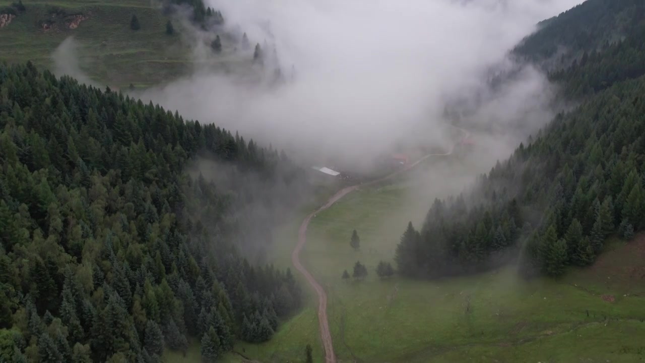 高山森林草场视频素材画面4