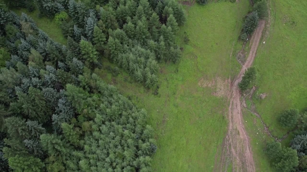 高山森林草场视频素材画面1