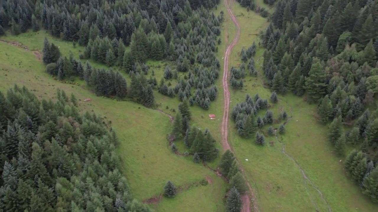 高山森林草场视频素材画面4