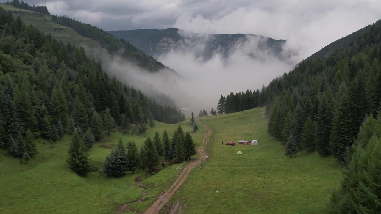 高山森林草场视频素材画面1