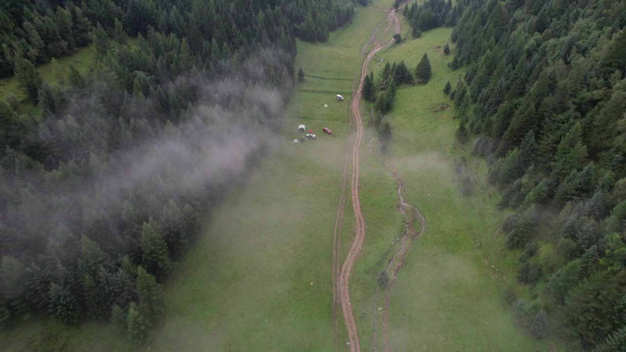 高山森林草场视频素材画面1