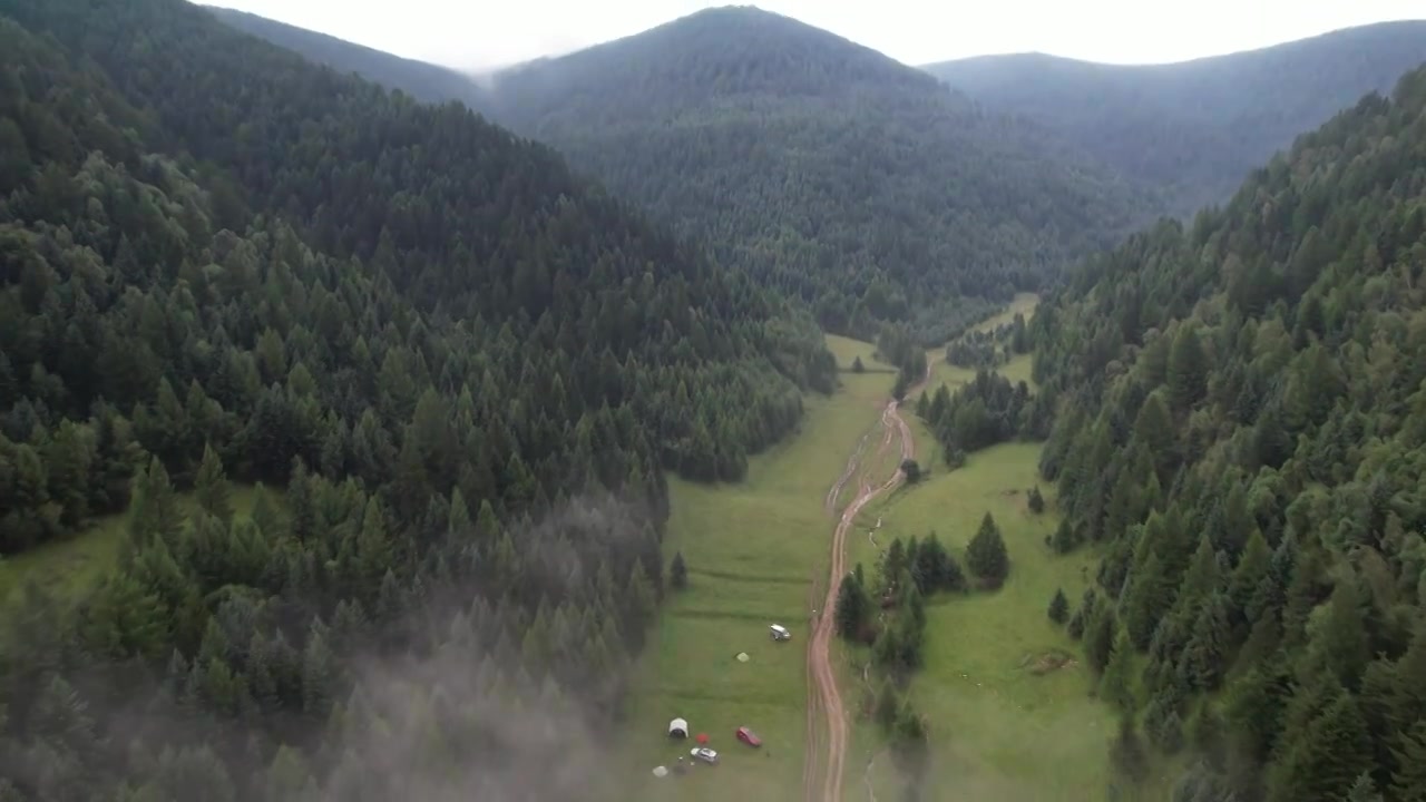 高山森林草场视频素材画面3