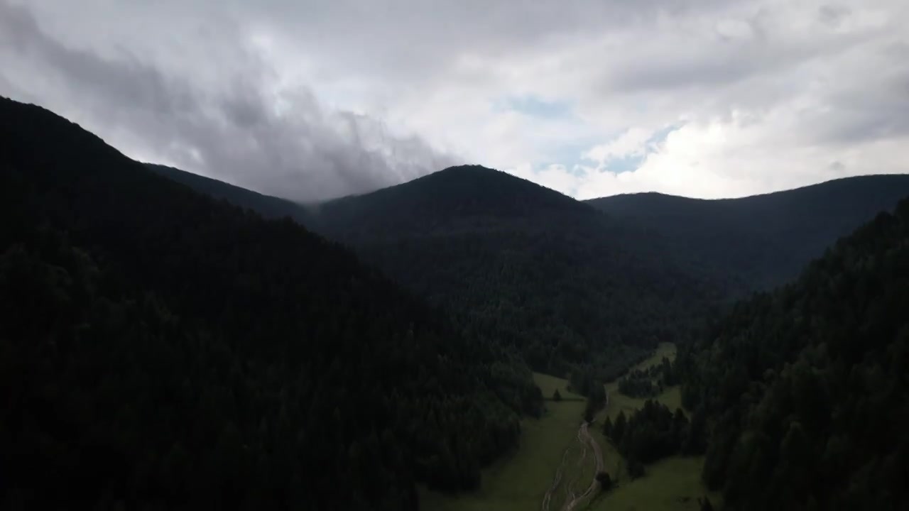 高山森林草场视频素材画面4