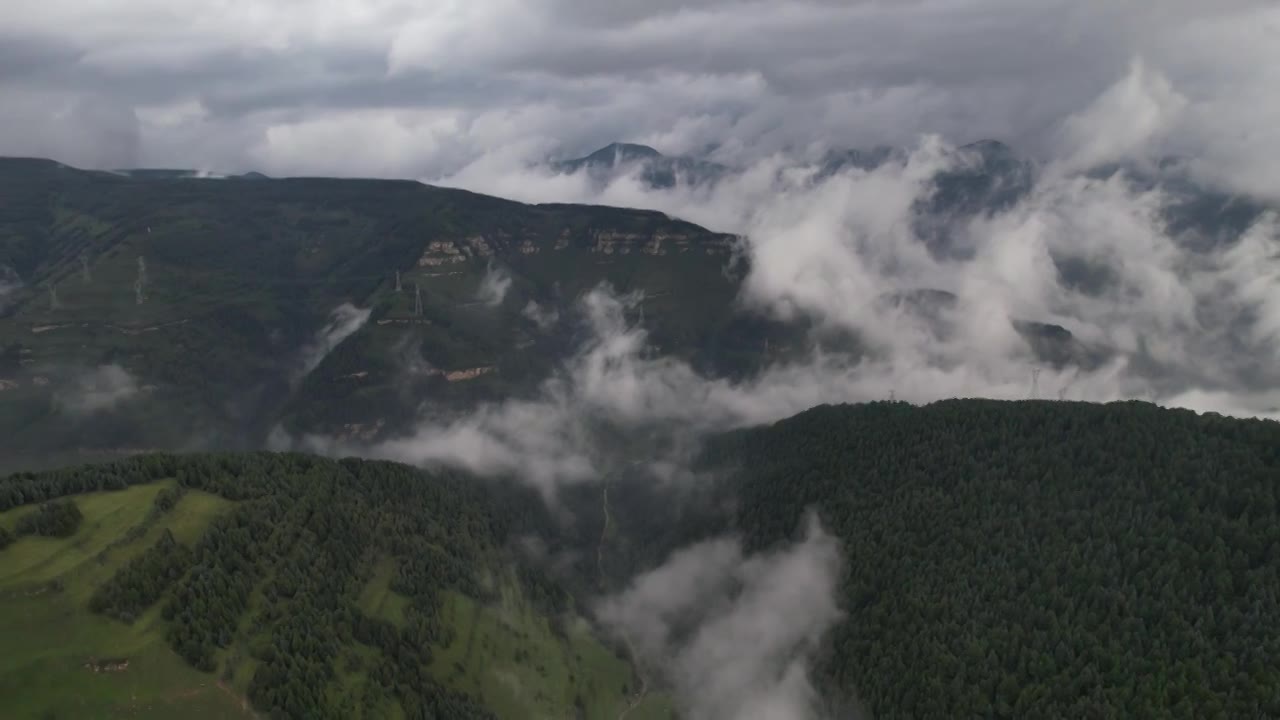 高山森林草场视频素材画面1