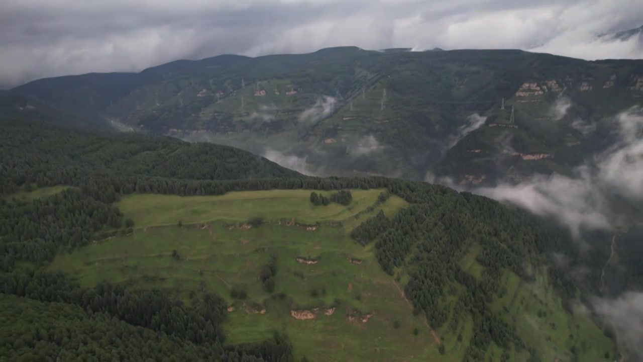 高山森林草场视频素材画面3