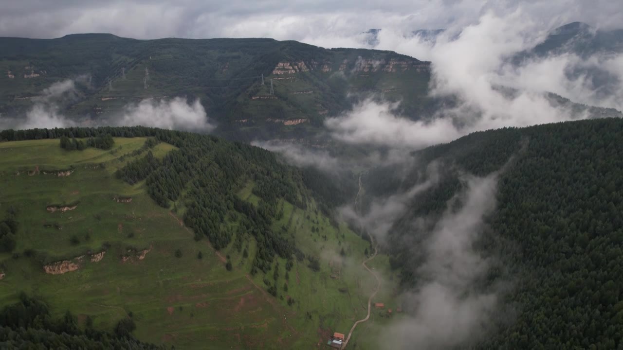 高山森林草场视频素材画面1