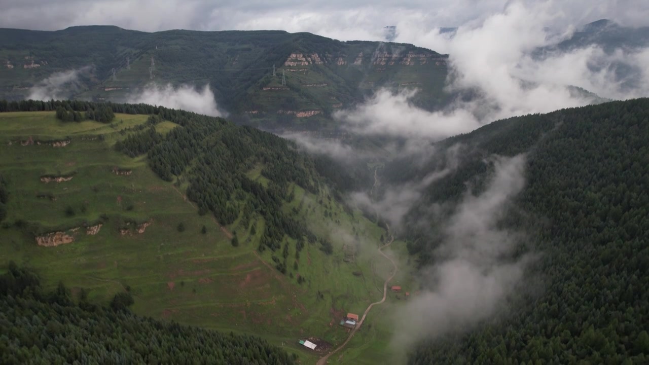 高山森林草场视频素材画面3