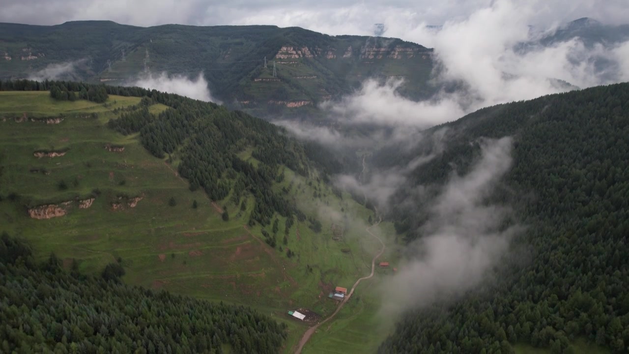 高山森林草场视频素材画面4