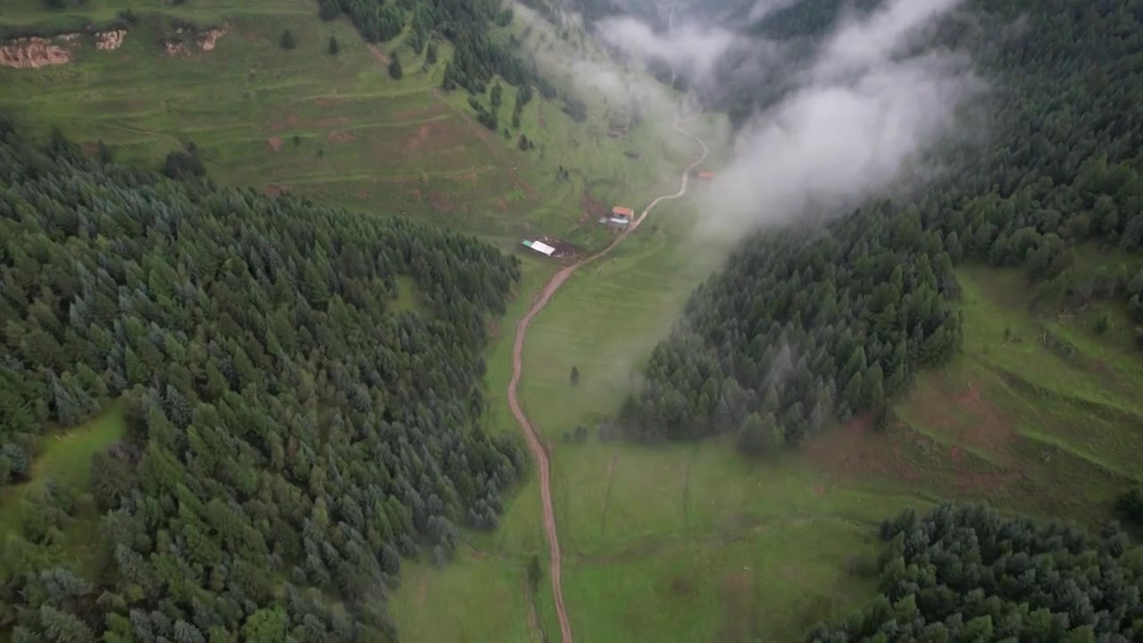 高山森林草场视频素材画面1
