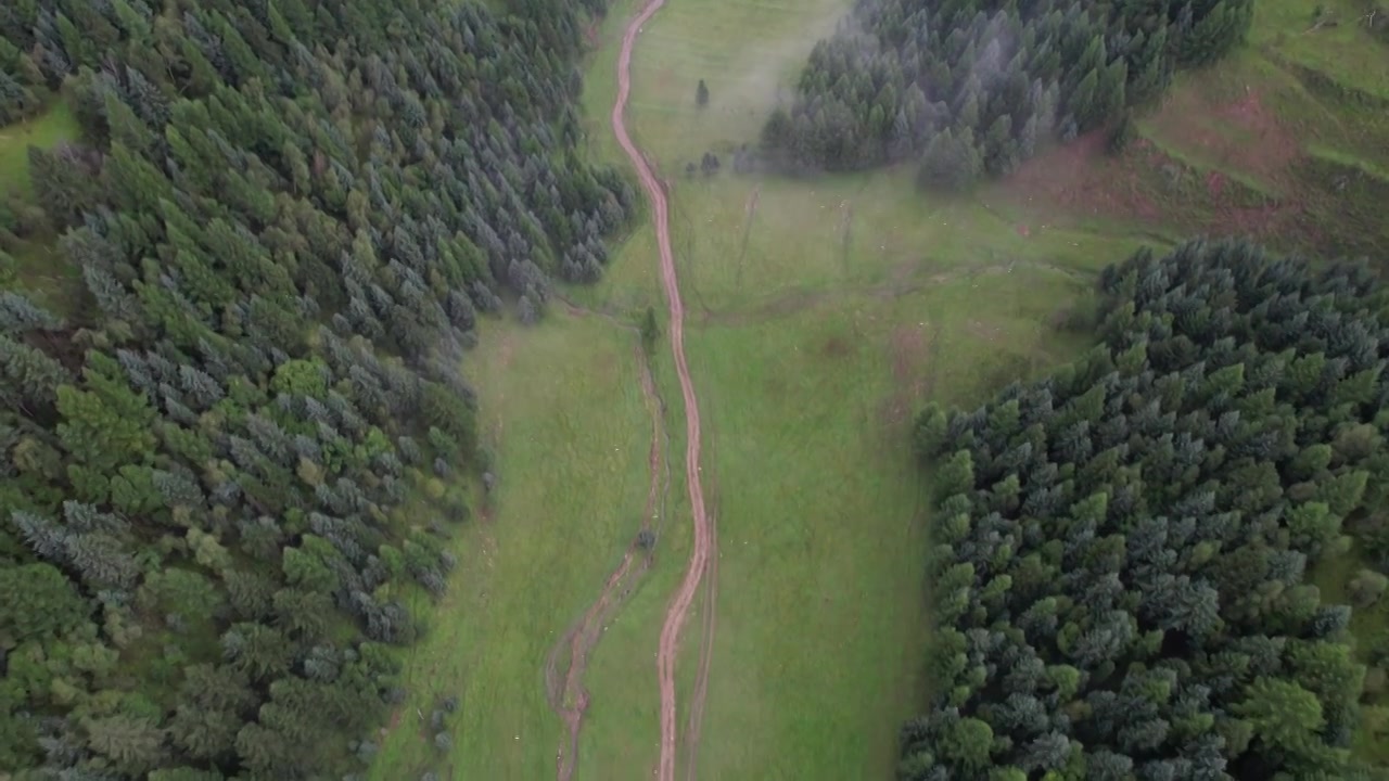 高山森林草场视频素材画面3